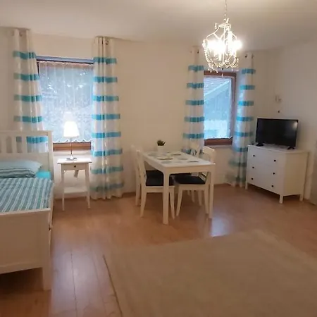 Ferienwohnung Gut Steinhügel Bischofsmais Exterior foto