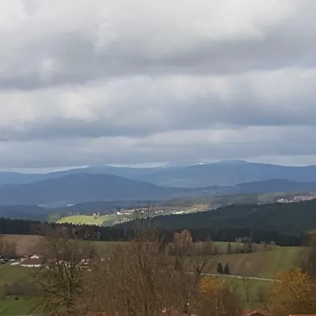 Ferienwohnung Gut Steinhügel Bischofsmais Exterior foto